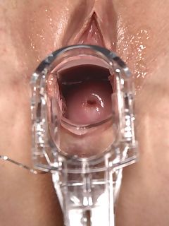 porn   pics